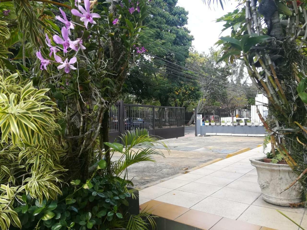 Jardines Del Teatro Hotel Santo Domingo Zewnętrze zdjęcie